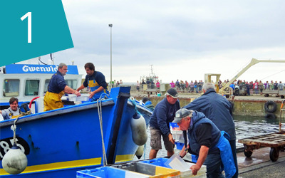 Vivre l'activité du port de pêche  toute l'année