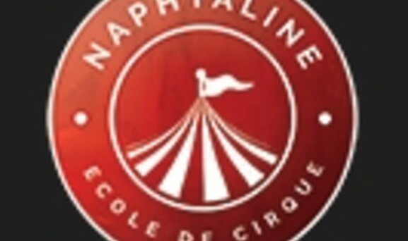 NAPHTALINE  :  STAGE  DE  CIRQUE