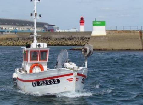 CONSERVERIE / ALGUES - SCARLETTE LE CORRE LES SAVEURS DE LA MER 