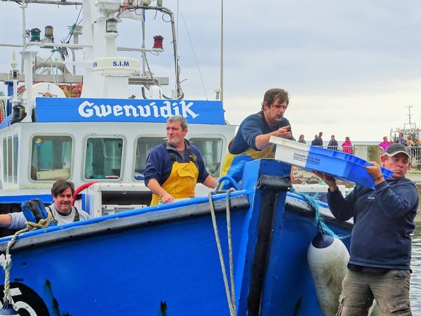 Débarquement de la pêche