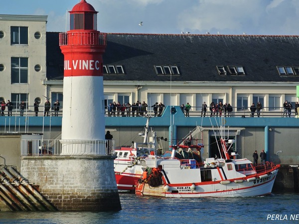 Entrée du port, phare du Guilvinec