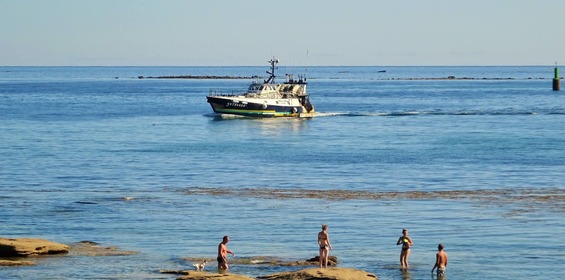 Retour des chalutiers vu de la plage de la grève jaune